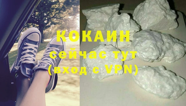 ГАЛЛЮЦИНОГЕННЫЕ ГРИБЫ Заволжск