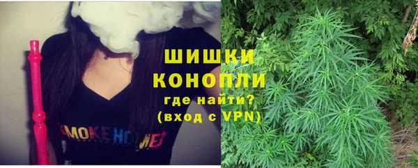 молекула духа Елизово