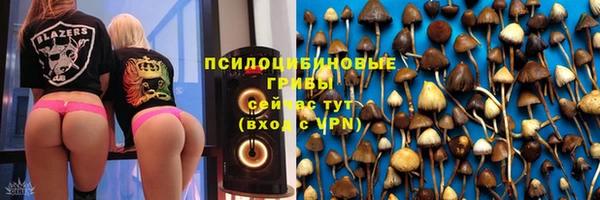 мяу мяу мука Ельня