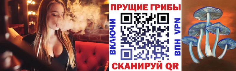 хочу   Харовск  Псилоцибиновые грибы Cubensis 